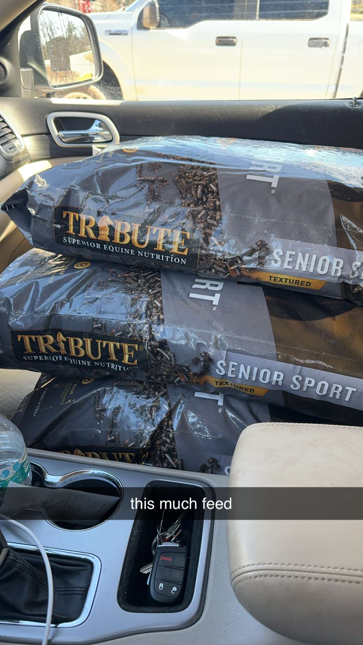 mckinley_1 snapchat image archive image