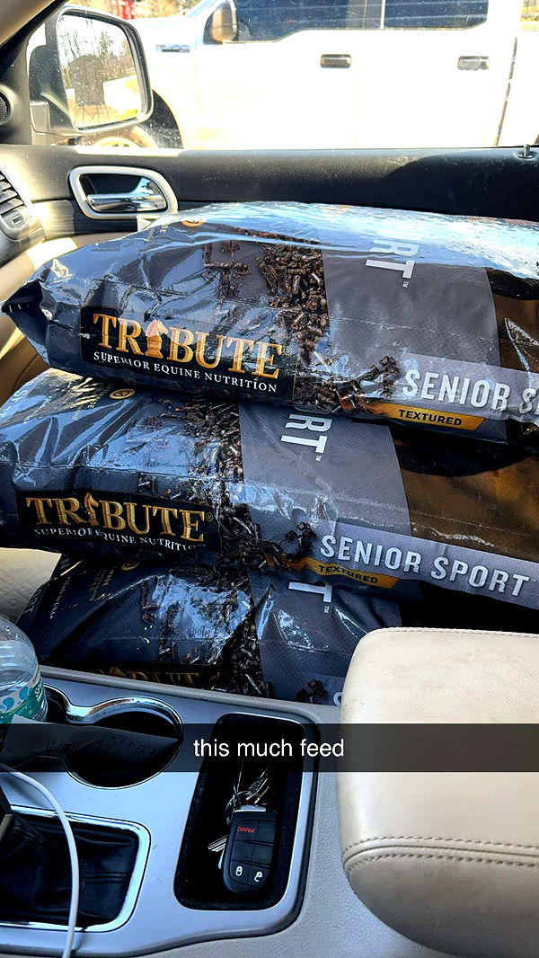 mckinley_1 image ~ Altpins