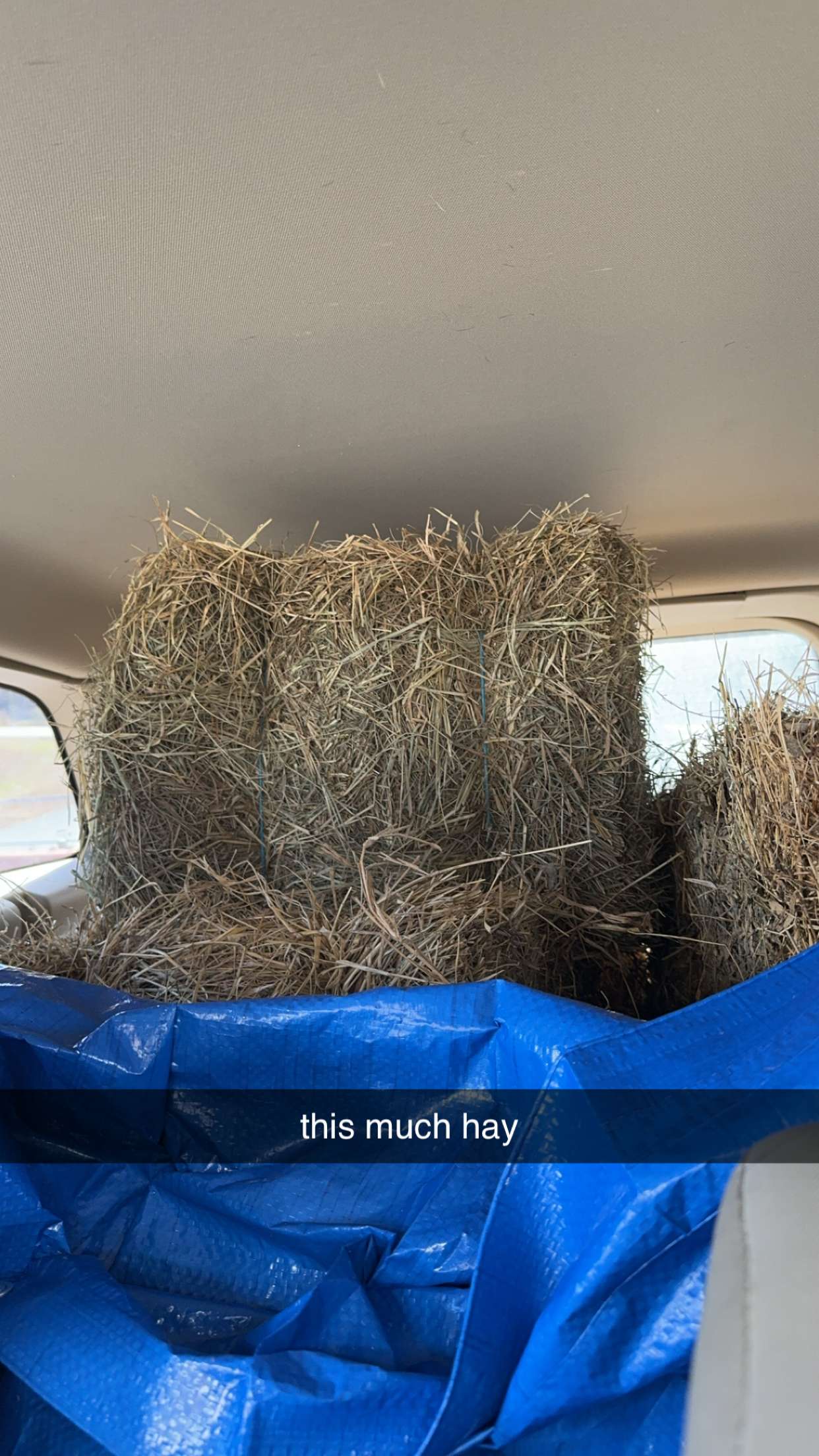 mckinley_1 snapchat image archive image