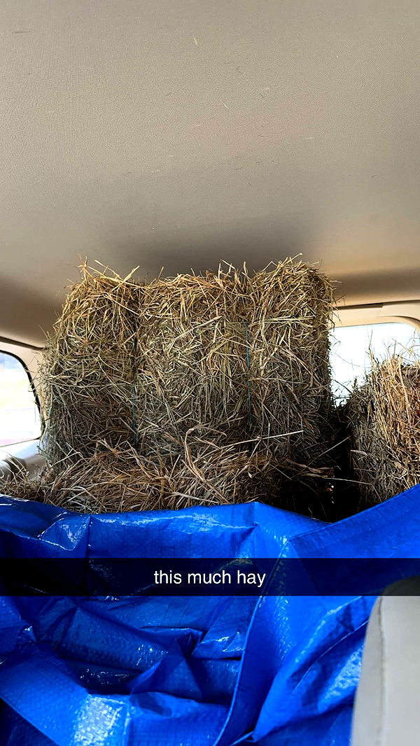 mckinley_1 image ~ Altpins