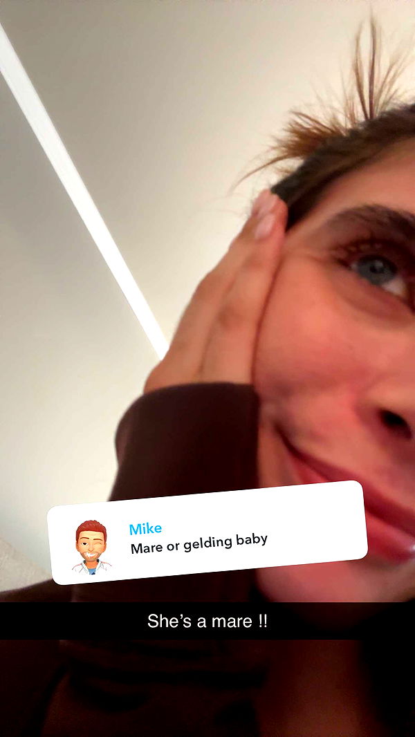 mckinley_1 image ~ Altpins