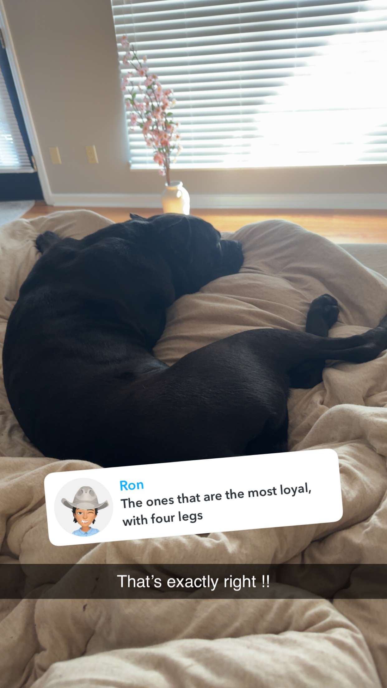 mckinley_1 snapchat image archive image