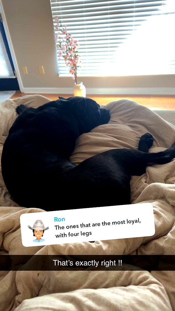 mckinley_1 image ~ Altpins