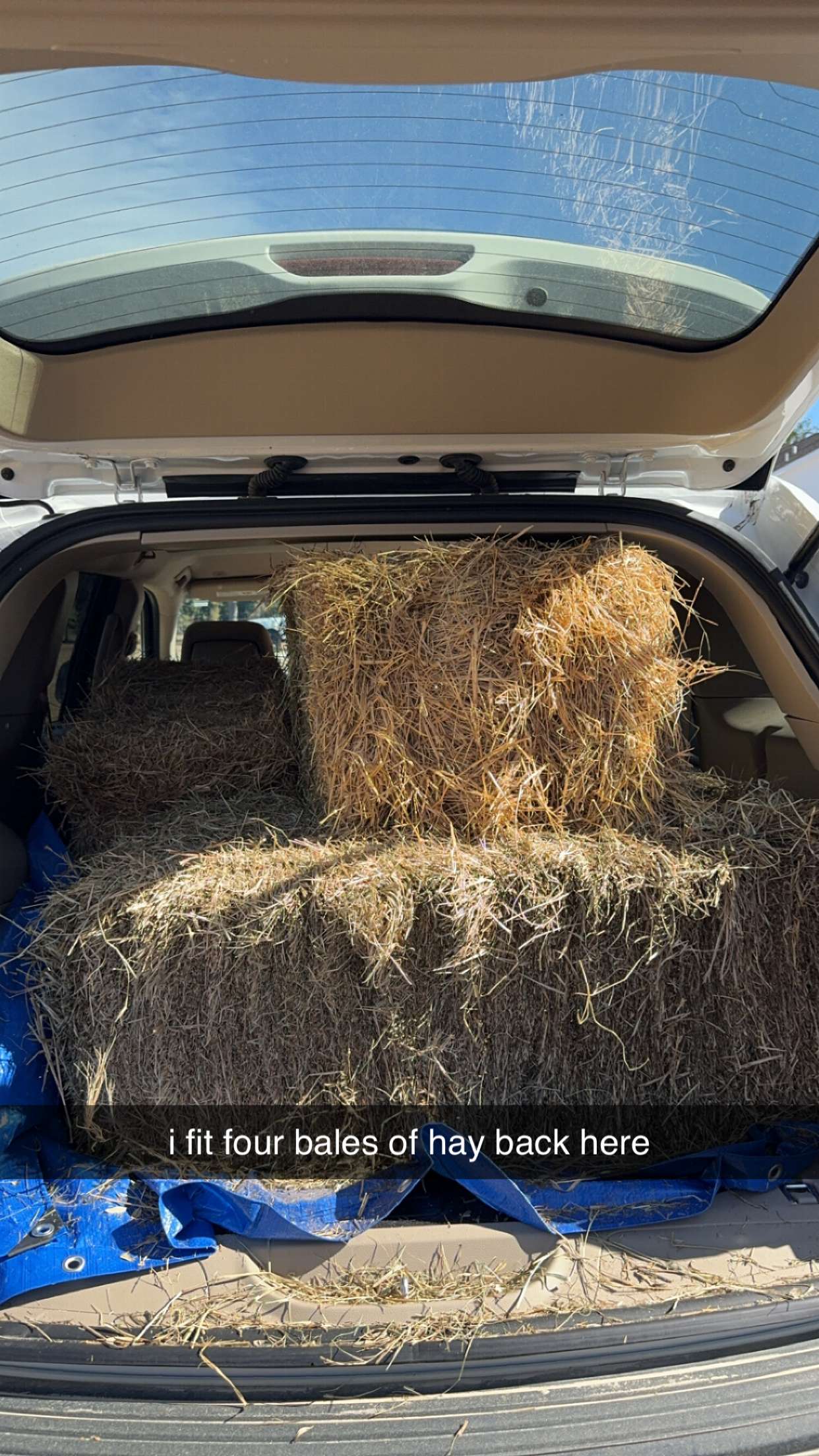 mckinley_1 snapchat image archive image