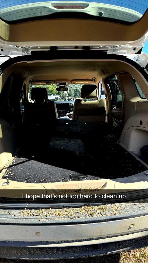 mckinley_1 image ~ Altpins