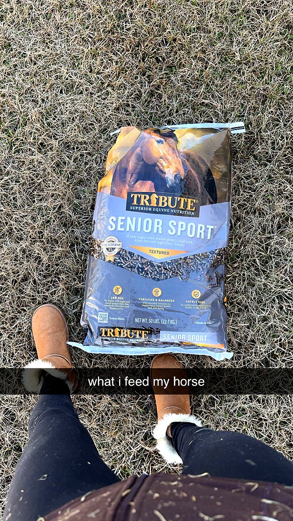 mckinley_1 image ~ Altpins