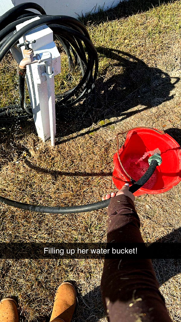 mckinley_1 image ~ Altpins