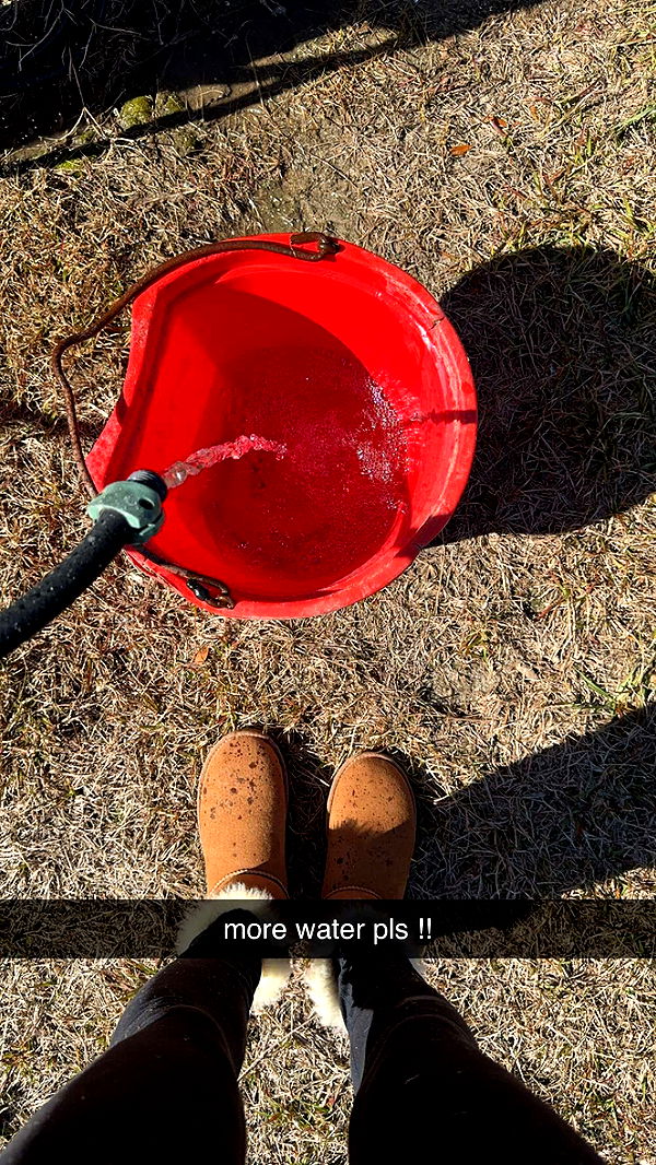 mckinley_1 image ~ Altpins