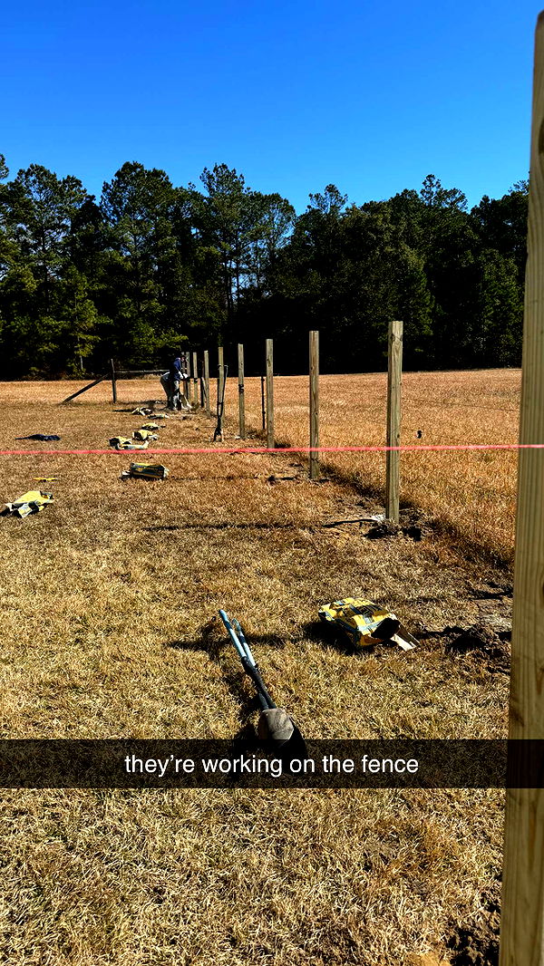 mckinley_1 image ~ Altpins