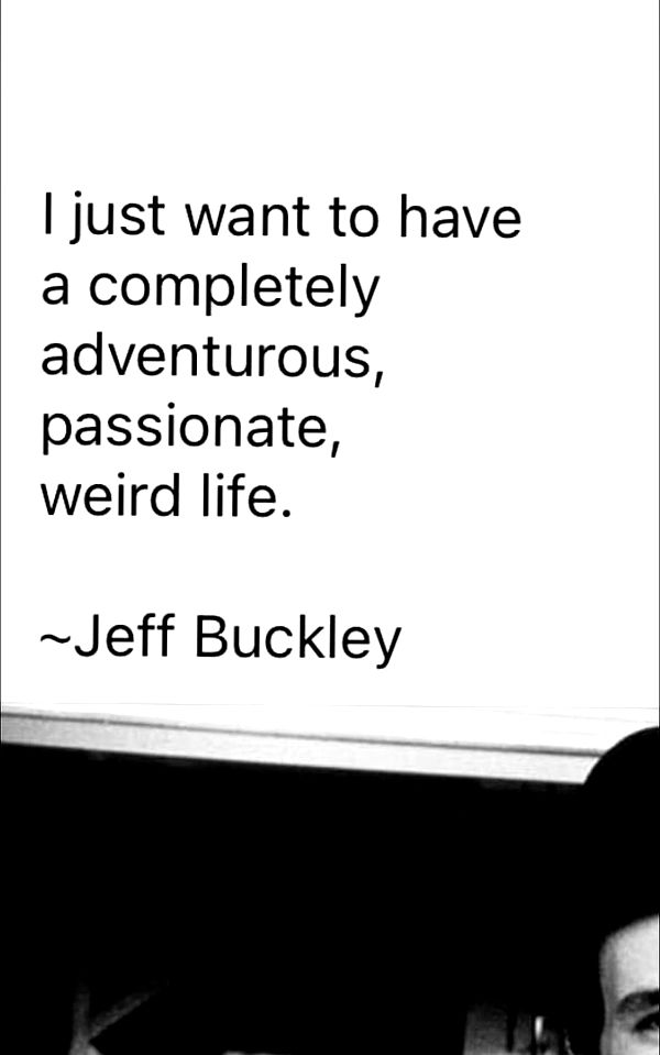 mckinley_1 image ~ Altpins