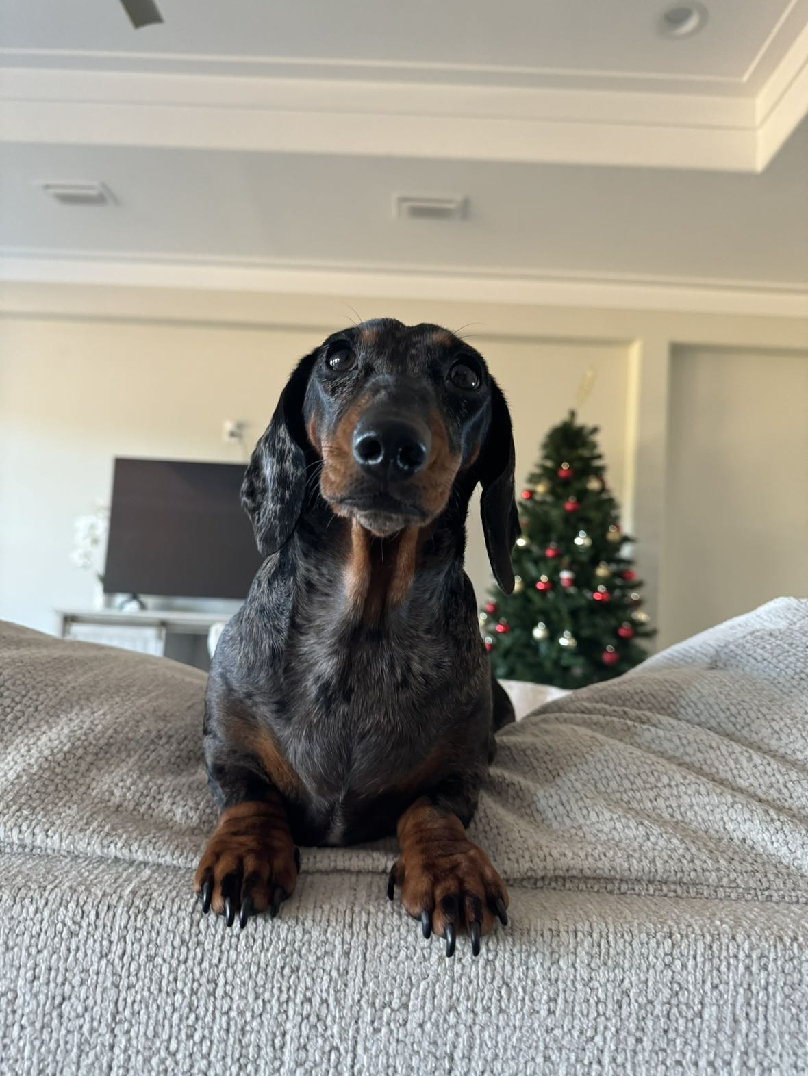 mckinley_1 snapchat image archive image