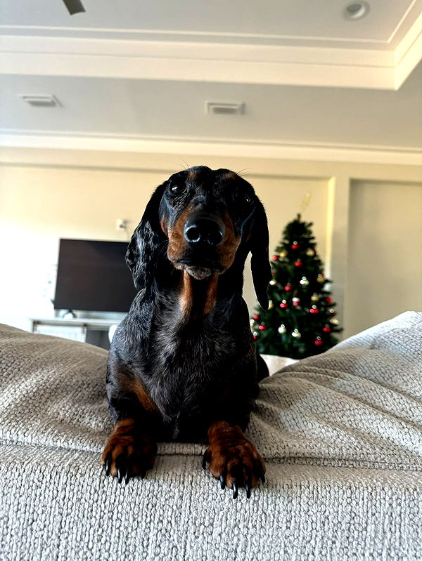 mckinley_1 image ~ Altpins