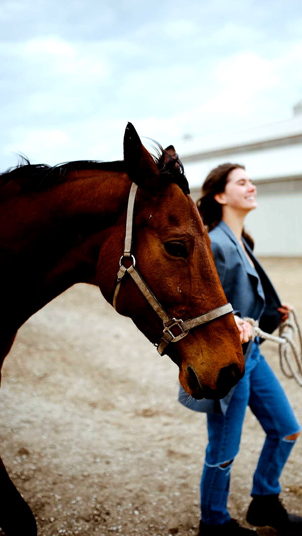 mckinley_1 image ~ Altpins