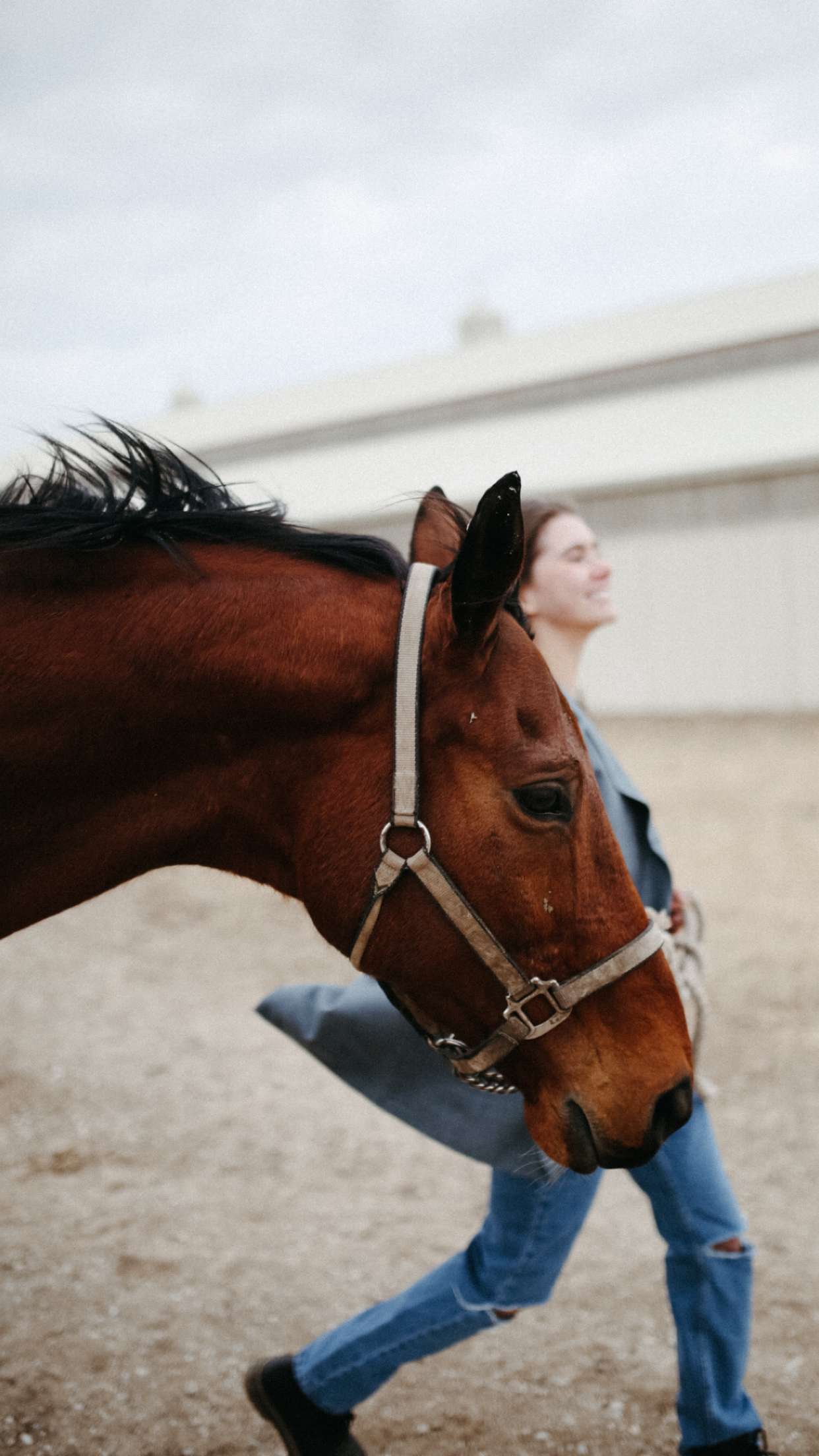 mckinley_1 snapchat image archive image