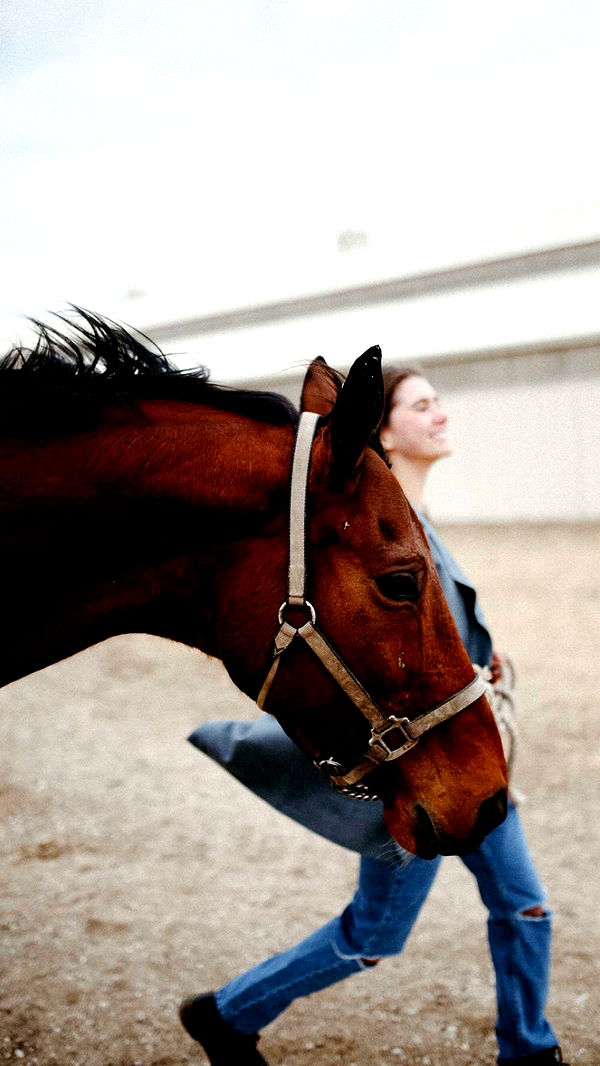 mckinley_1 image ~ Altpins