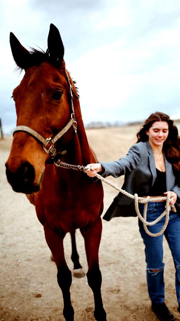 mckinley_1 image ~ Altpins