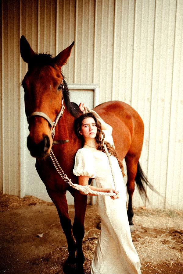 mckinley_1 image ~ Altpins