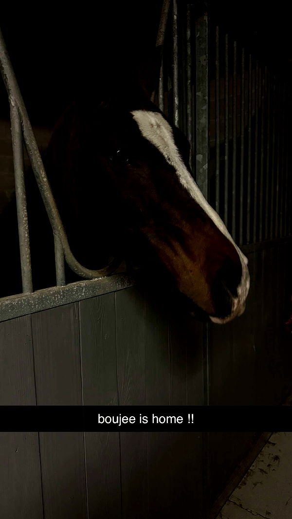 mckinley_1 image ~ Altpins