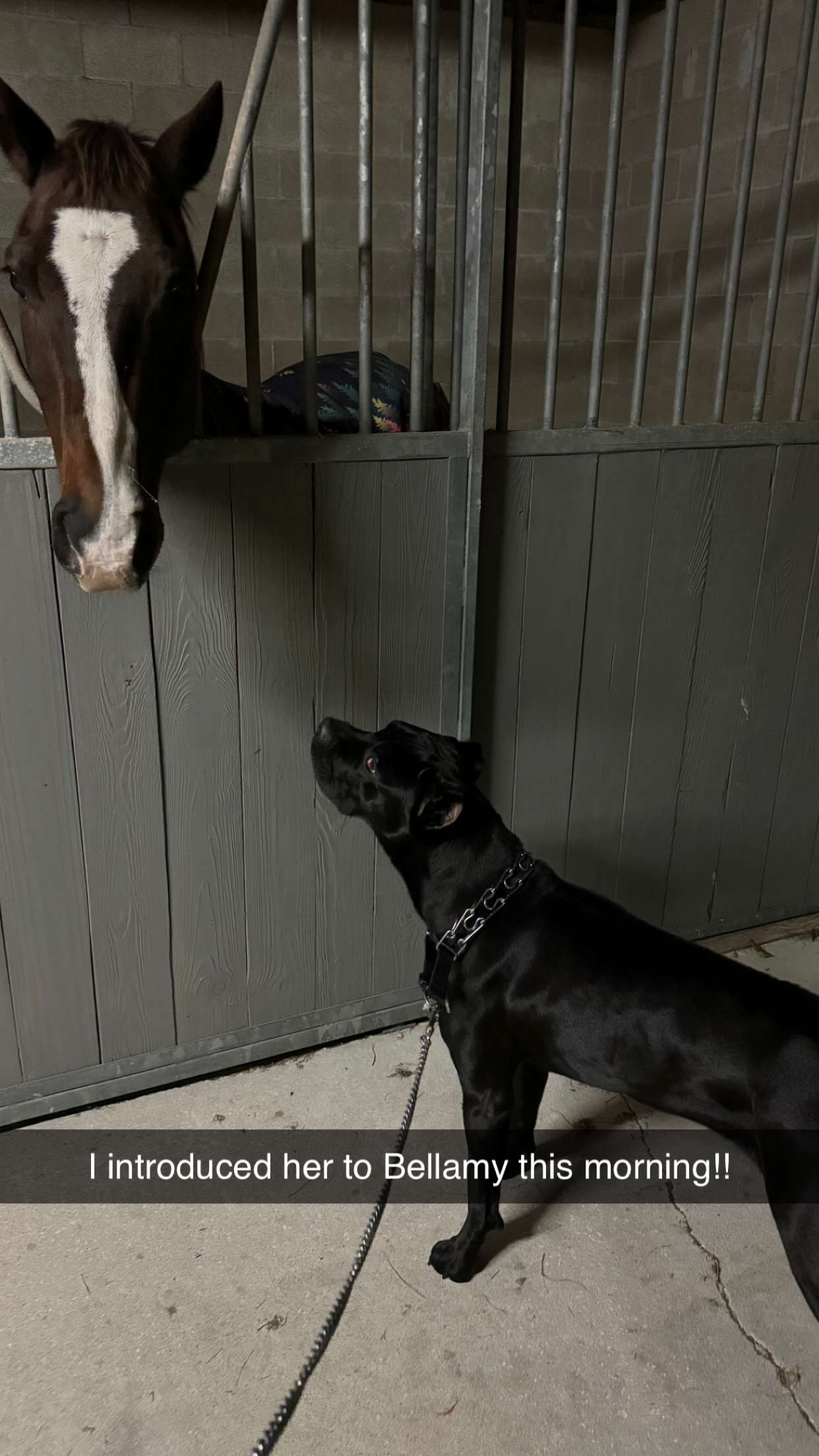 mckinley_1 snapchat image archive image