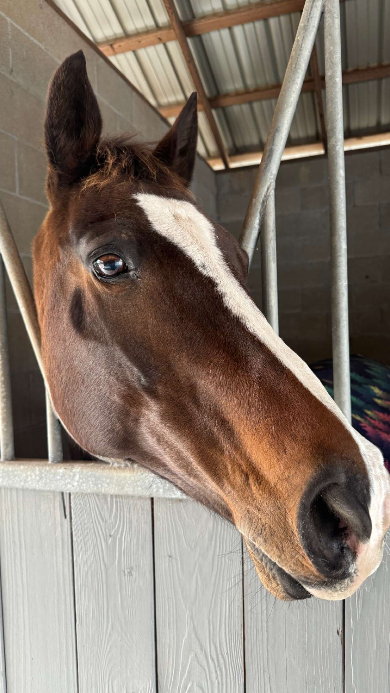 mckinley_1 snapchat image archive image