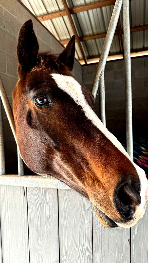 mckinley_1 image ~ Altpins