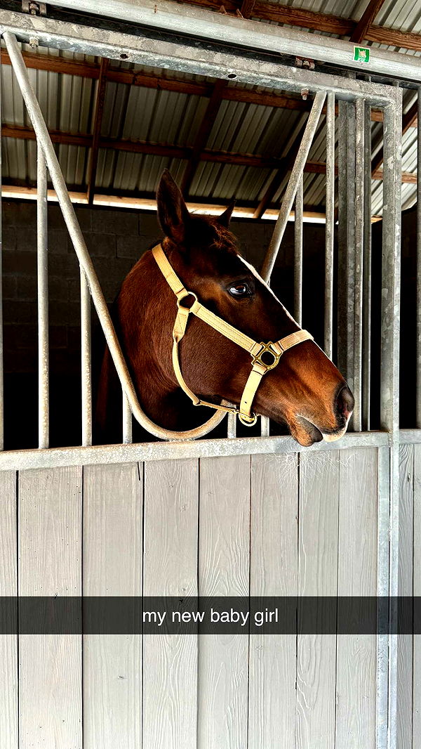 mckinley_1 image ~ Altpins