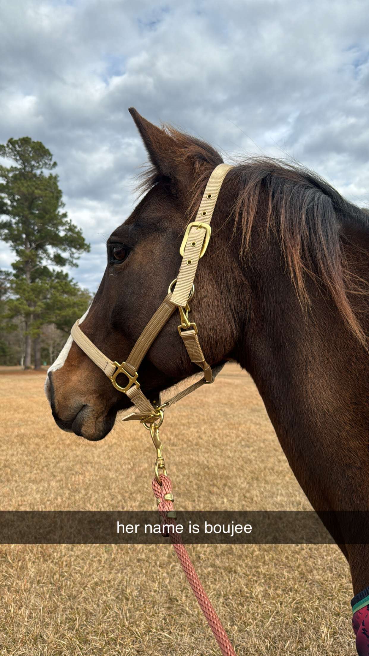 mckinley_1 snapchat image archive image