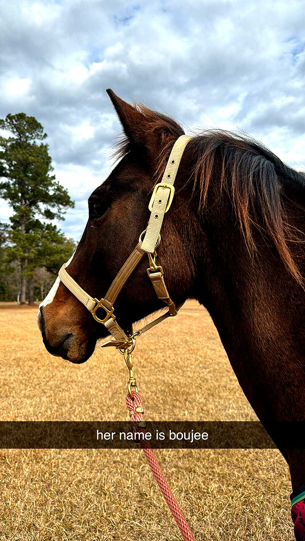 mckinley_1 image ~ Altpins