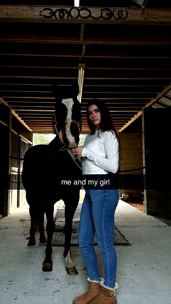 mckinley_1 image ~ Altpins