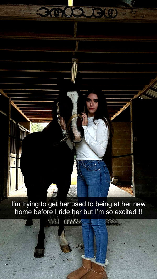 mckinley_1 image ~ Altpins