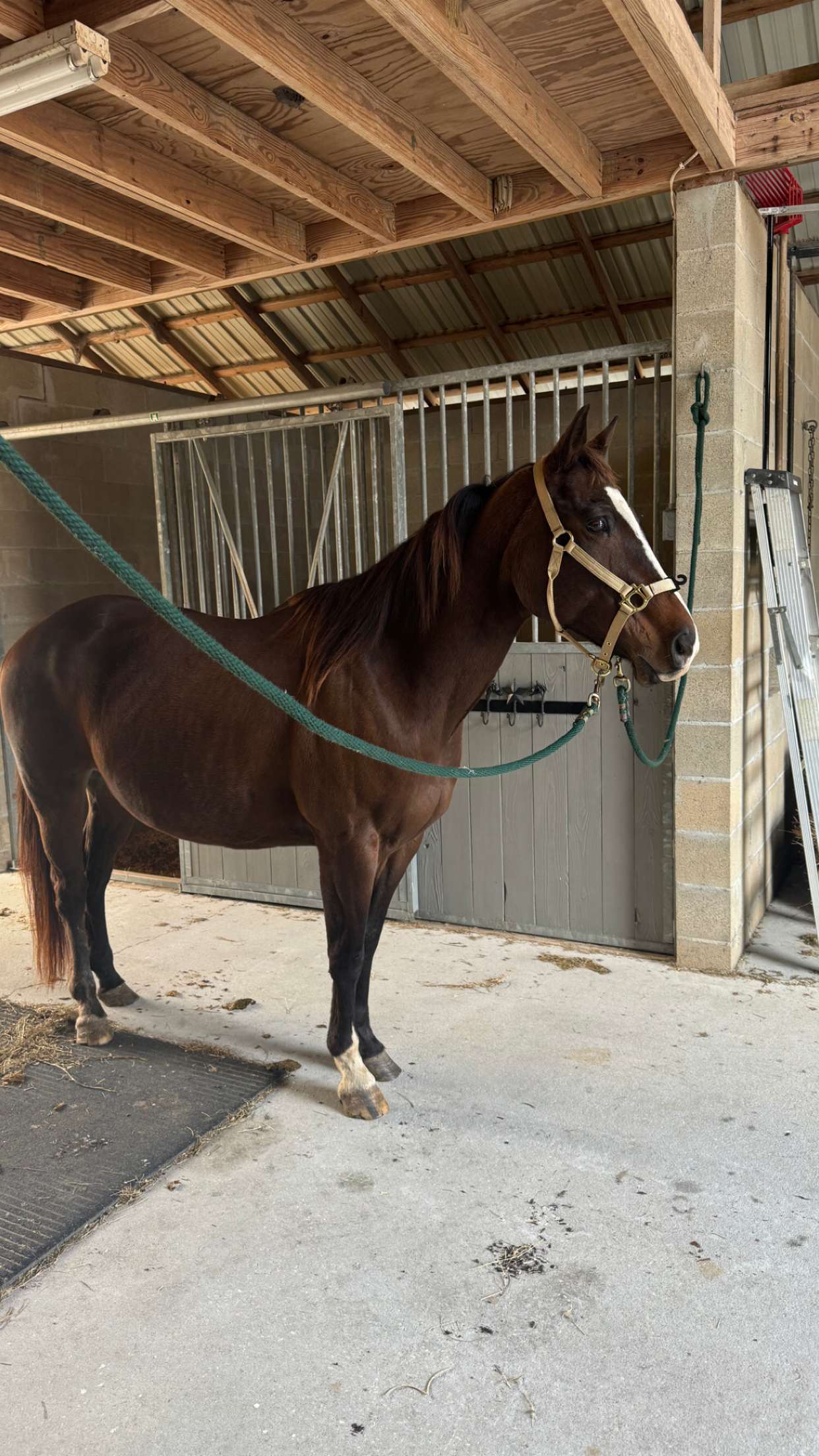 mckinley_1 snapchat image archive image