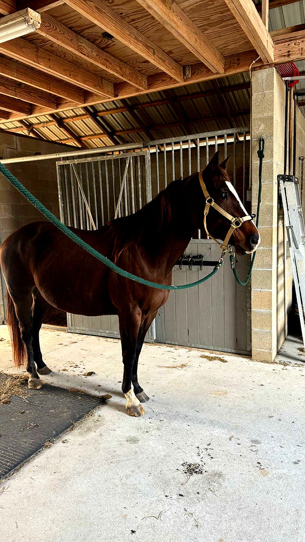 mckinley_1 image ~ Altpins