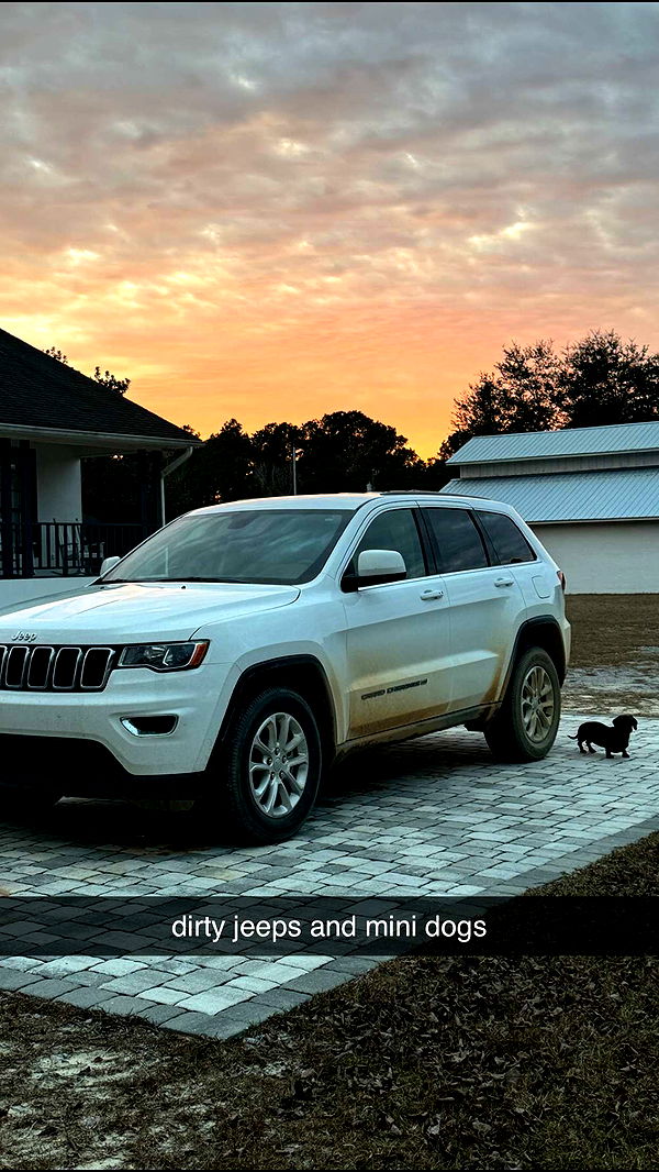 mckinley_1 image ~ Altpins