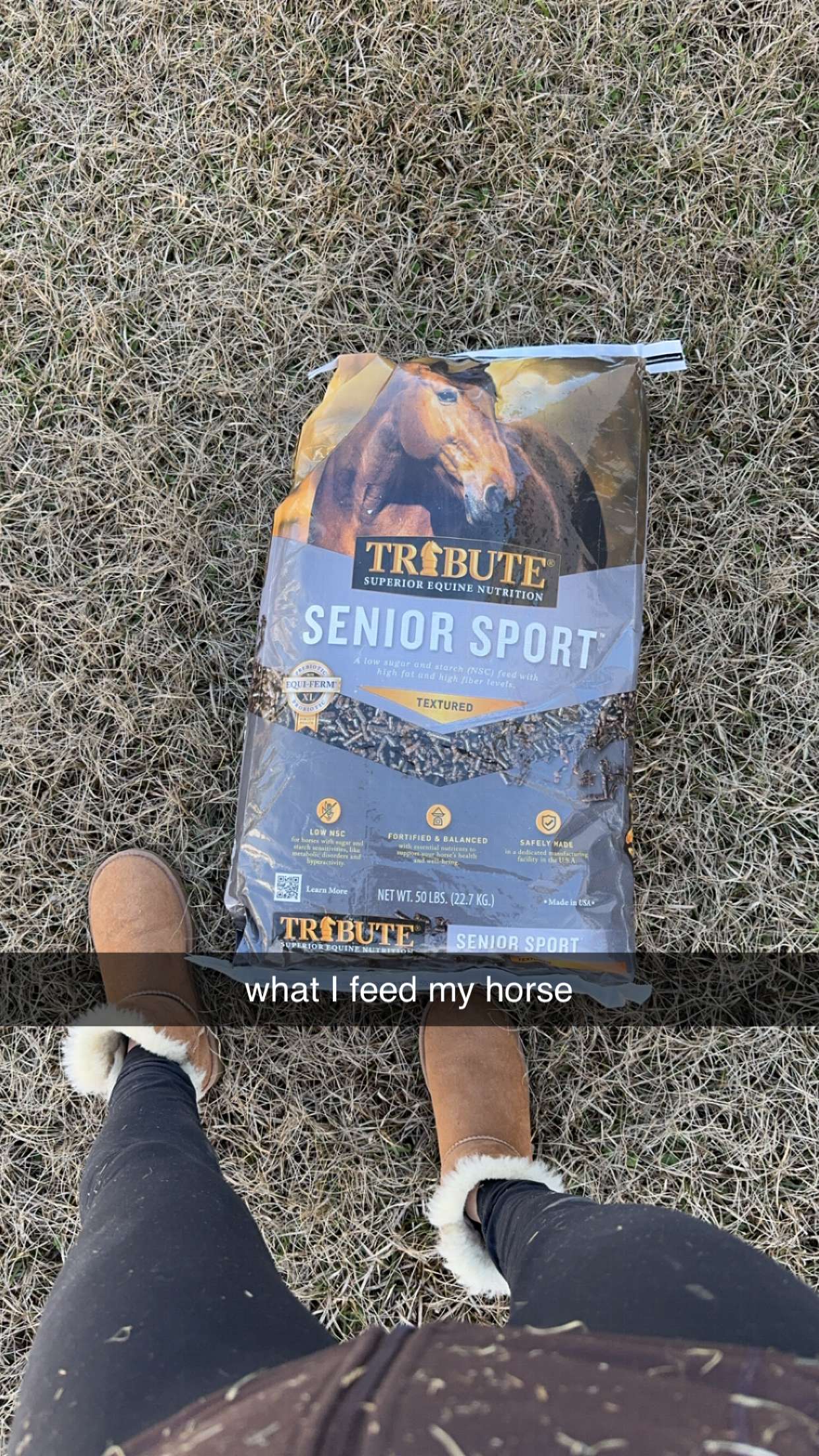 mckinley_1 snapchat image archive image