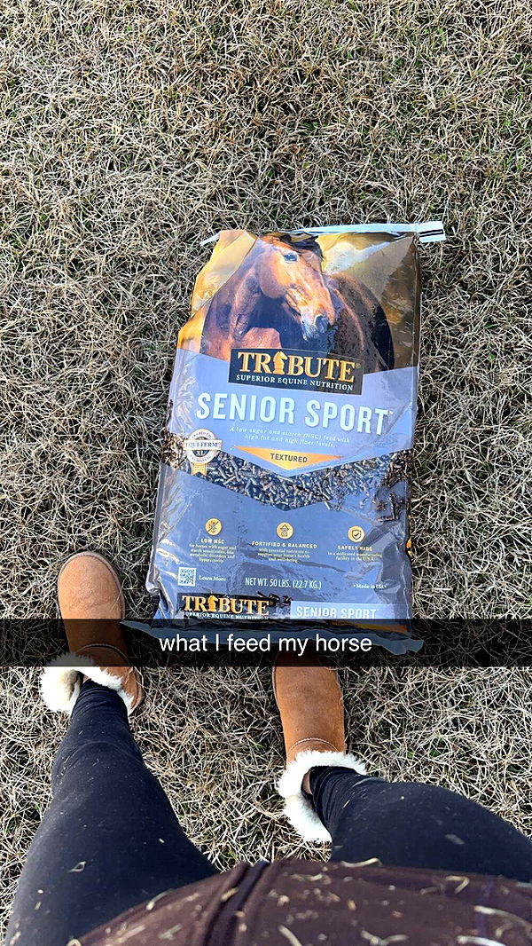 mckinley_1 image ~ Altpins