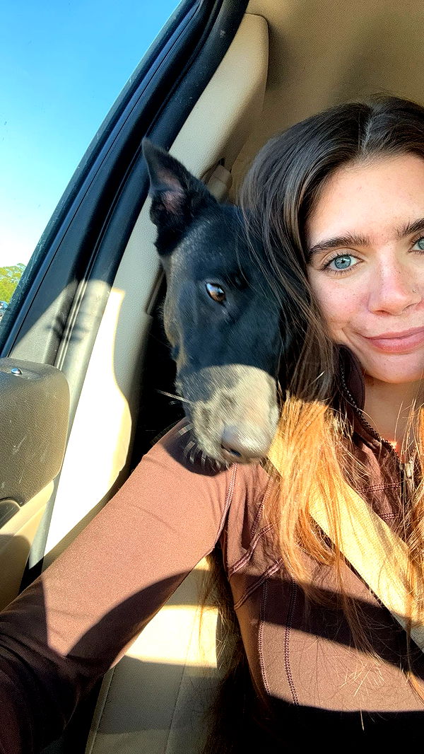 mckinley_1 image ~ Altpins