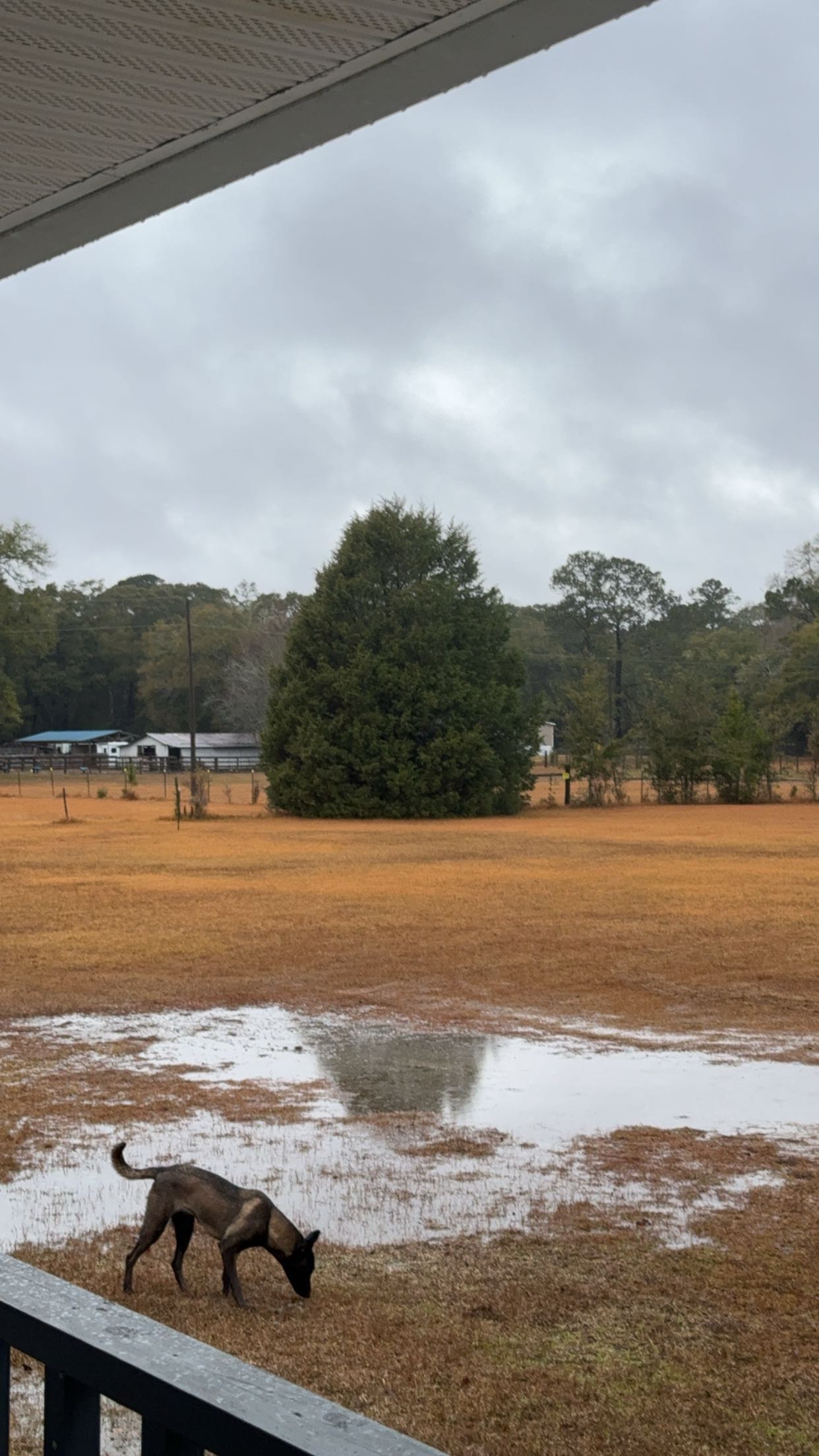 mckinley_1 snapchat image archive image