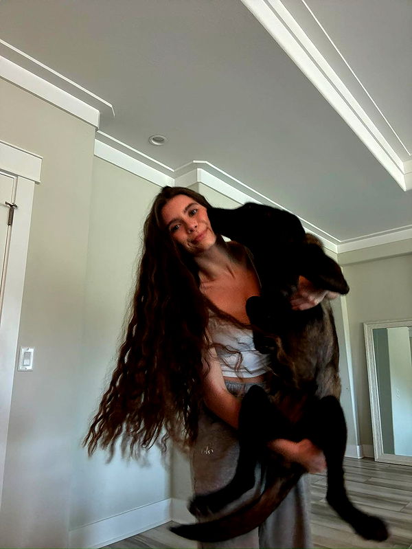 mckinley_1 image ~ Altpins