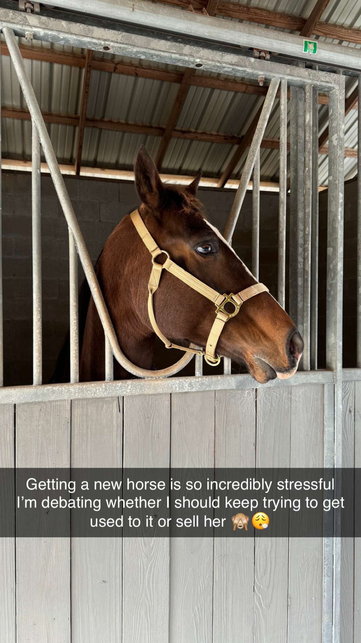 mckinley_1 snapchat image archive image