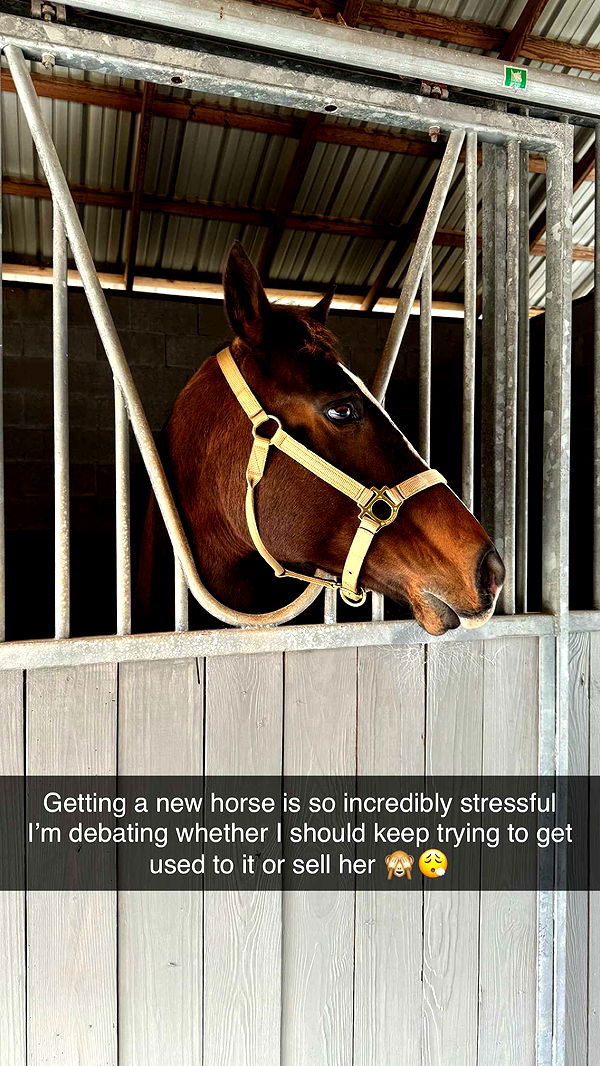 mckinley_1 image ~ Altpins