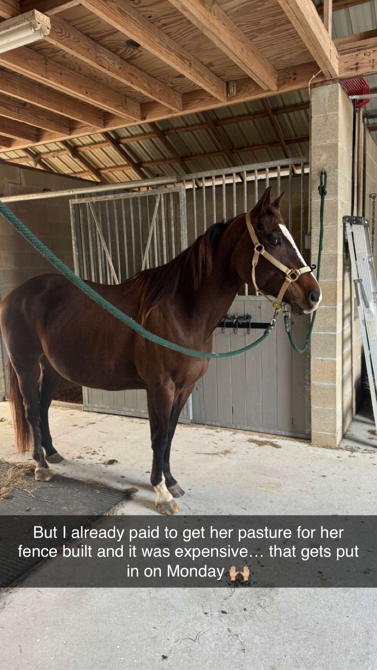 mckinley_1 snapchat image archive image