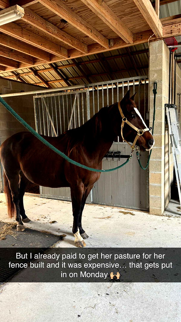 mckinley_1 image ~ Altpins