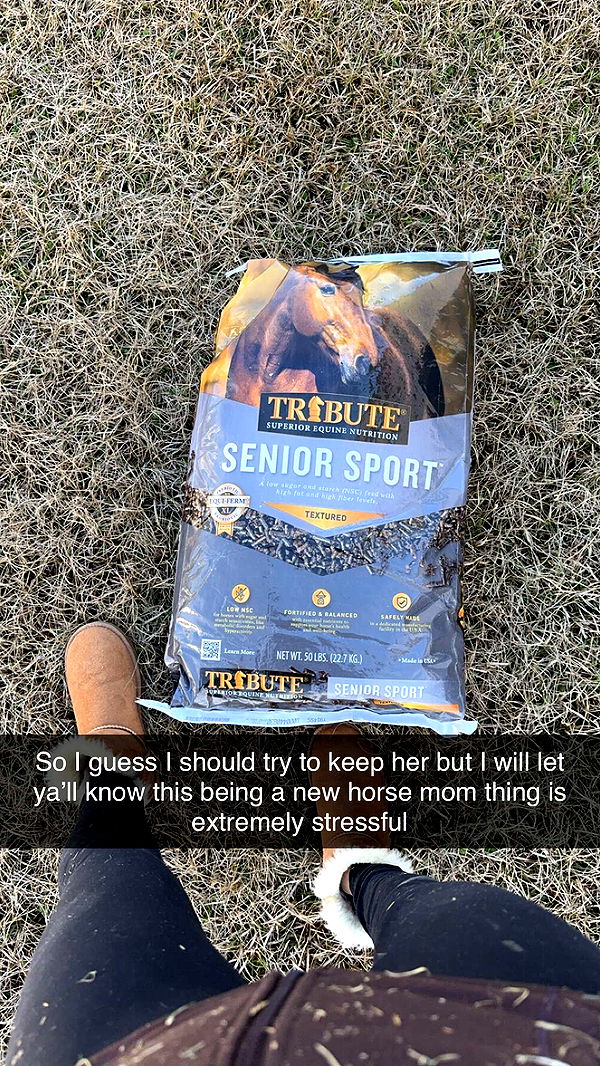 mckinley_1 image ~ Altpins