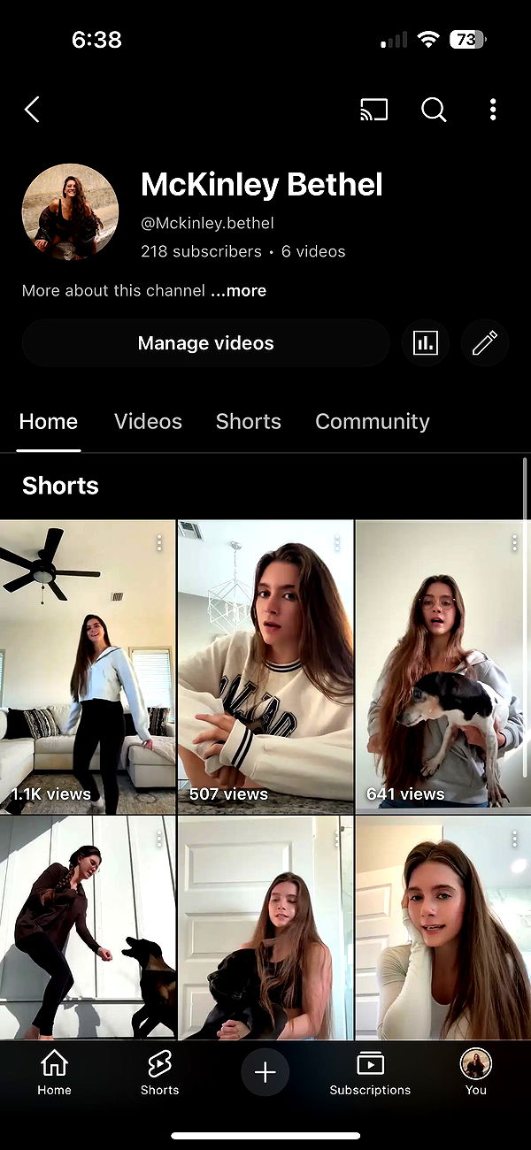 mckinley_1 image ~ Altpins