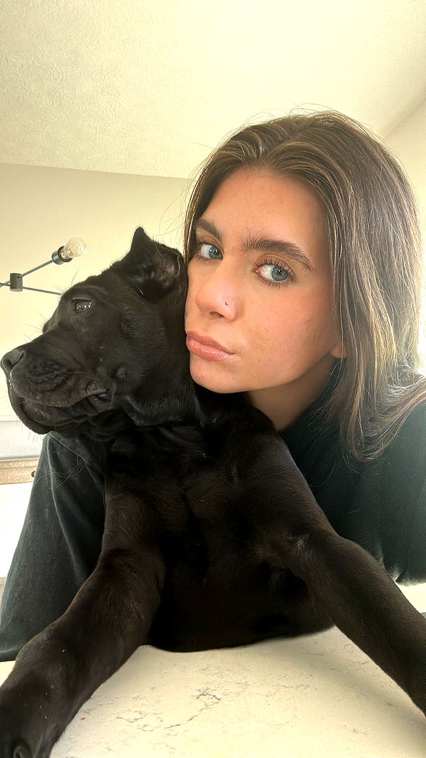 mckinley_1 image ~ Altpins