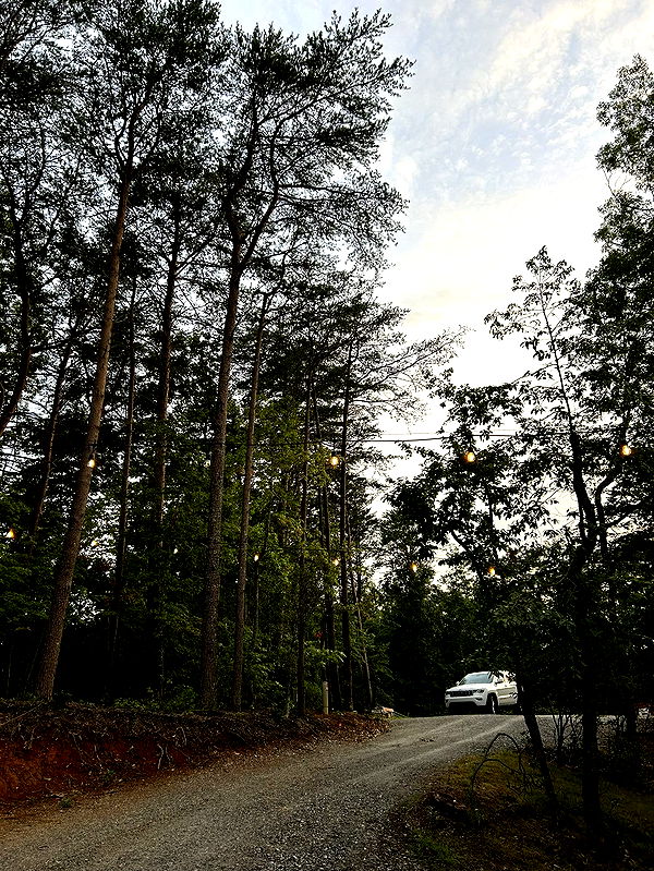 mckinley_1 image ~ Altpins