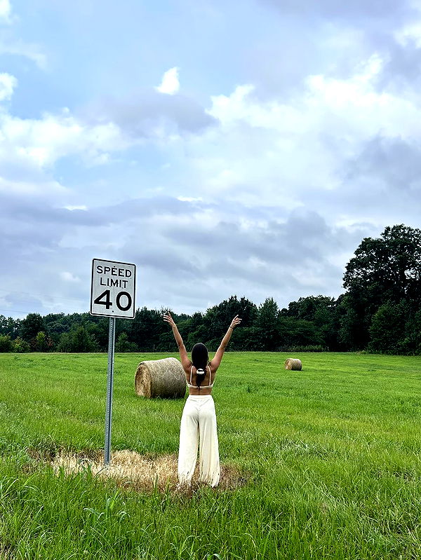 mckinley_1 image ~ Altpins