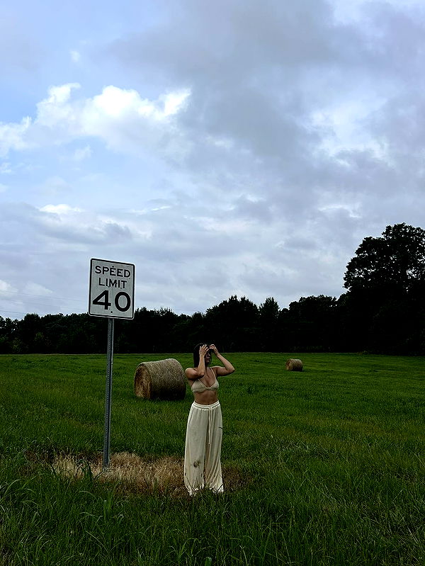 mckinley_1 image ~ Altpins