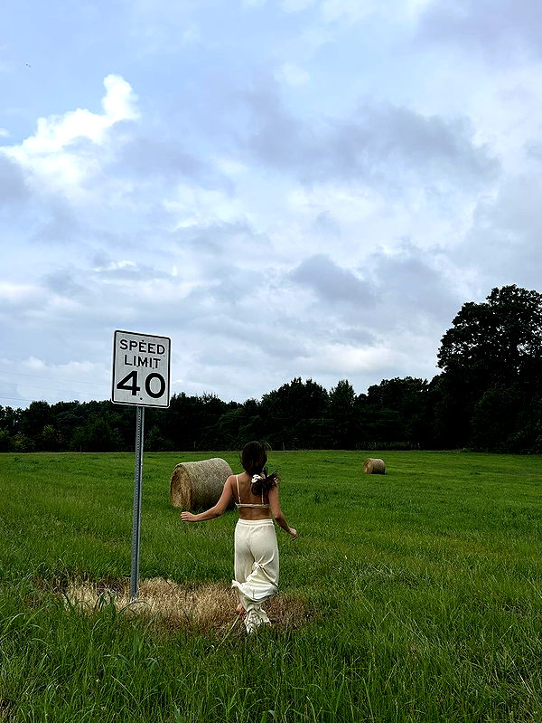 mckinley_1 image ~ Altpins