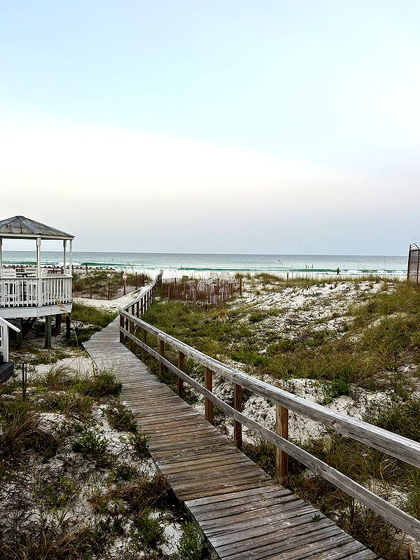 mckinley_1 image ~ Altpins